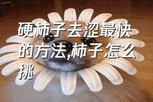 硬柿子去涩最快的方法（柿子怎么挑）