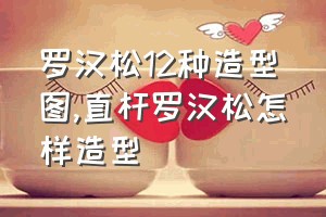 罗汉松12种造型图（直杆罗汉松怎样造型）