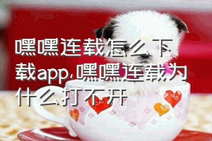 嘿嘿连载怎么下载app（嘿嘿连载为什么打不开）