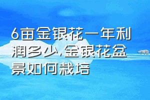 6亩金银花一年利润多少（金银花盆景如何栽培）