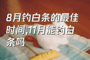 8月钓白条的最佳时间（11月能钓白条吗）