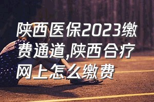 陕西医保2023缴费通道（陕西合疗网上怎么缴费）