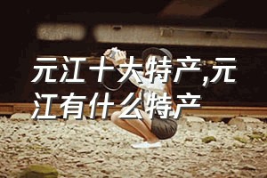 元江十大特产（元江有什么特产）