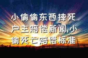 小偷偷东西摔死户主赔偿新闻（小偷死亡赔偿标准）