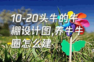 10-20头牛的牛棚设计图（养牛牛圈怎么建）