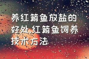 养红箭鱼放盐的好处（红箭鱼饲养技术方法）