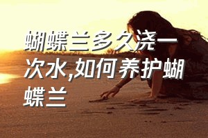 蝴蝶兰多久浇一次水（如何养护蝴蝶兰）