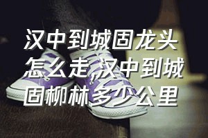 汉中到城固龙头怎么走（汉中到城固柳林多少公里）