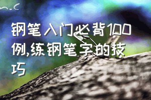 钢笔入门必背100例（练钢笔字的技巧）