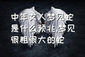 中年女人梦见蛇是什么预兆（梦见很粗很大的蛇）