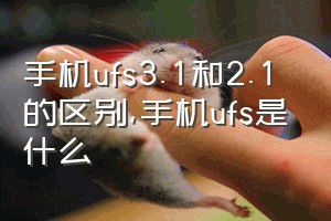 手机ufs3.1和2.1的区别（手机ufs是什么）