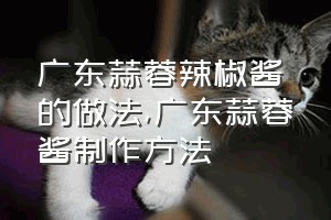 广东蒜蓉辣椒酱的做法（广东蒜蓉酱制作方法）