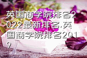 英国商学院排名2022最新排名（英国商学院排名2019）