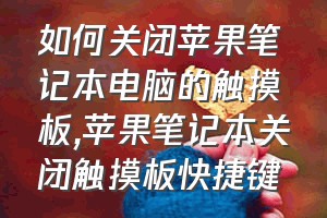 如何关闭苹果笔记本电脑的触摸板（苹果笔记本关闭触摸板快捷键）