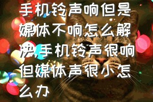 手机铃声响但是媒体不响怎么解决（手机铃声很响但媒体声很小怎么办）