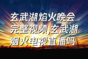玄武湖焰火晚会完整视频（玄武湖烟火电视直播吗）