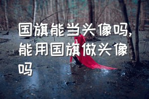 国旗能当头像吗（能用国旗做头像吗）