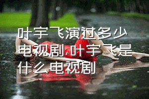 叶宇飞演过多少电视剧（叶宇飞是什么电视剧）