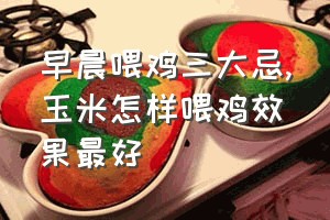 早晨喂鸡三大忌（玉米怎样喂鸡效果最好）