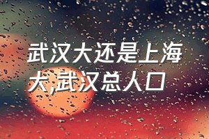 武汉大还是上海大（武汉总人口）