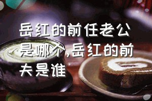 岳红的前任老公是哪个（岳红的前夫是谁）