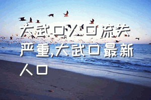 大武口人口流失严重（大武口最新人口）