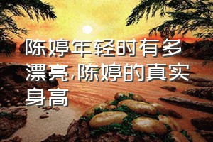 陈婷年轻时有多漂亮（陈婷的真实身高）