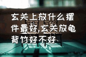 玄关上放什么摆件最好（玄关放龟背竹好不好）