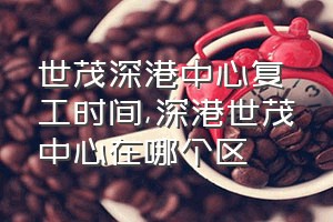 世茂深港中心复工时间（深港世茂中心在哪个区）