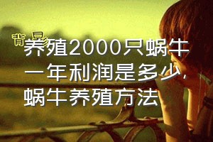 养殖2000只蜗牛一年利润是多少（蜗牛养殖方法）