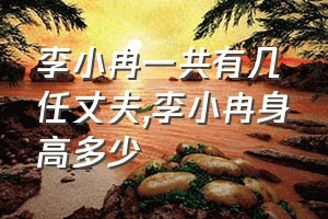 李小冉一共有几任丈夫（李小冉身高多少）