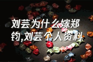 刘芸为什么嫁郑钧（刘芸个人资料）