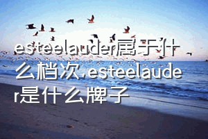 esteelauder属于什么档次（esteelauder是什么牌子）