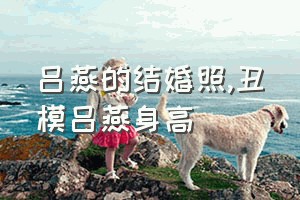 吕燕的结婚照（丑模吕燕身高）