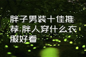 胖子男装十佳推荐（胖人穿什么衣服好看）