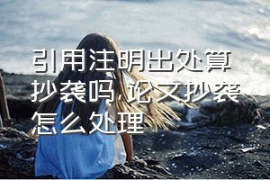 引用注明出处算抄袭吗（论文抄袭怎么处理）