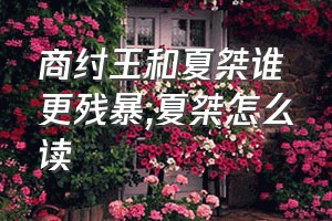 商纣王和夏桀谁更残暴（夏桀怎么读）