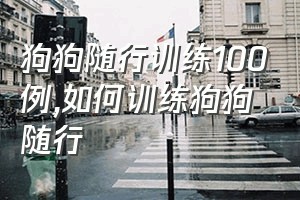 狗狗随行训练100例（如何训练狗狗随行）