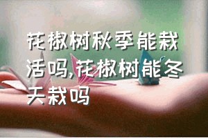 花椒树秋季能栽活吗（花椒树能冬天栽吗）