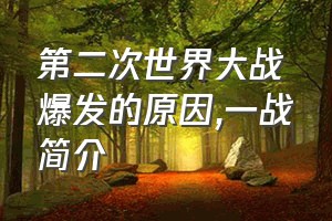 第二次世界大战爆发的原因（一战简介）