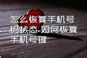 怎么恢复手机号码状态（如何恢复手机号键）