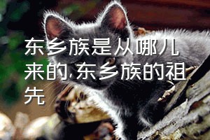 东乡族是从哪儿来的（东乡族的祖先）