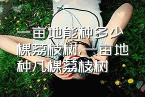 一亩地能种多少棵荔枝树（一亩地种几棵荔枝树）