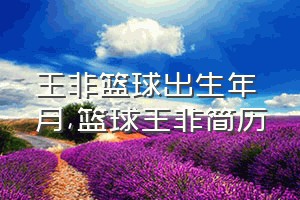 王非篮球出生年月（篮球王非简历）