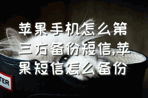 苹果手机怎么第三方备份短信（苹果短信怎么备份）