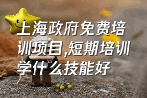 上海政府免费培训项目（短期培训学什么技能好）