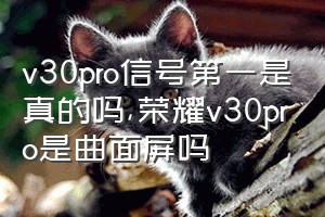 v30pro信号第一是真的吗（荣耀v30pro是曲面屏吗）