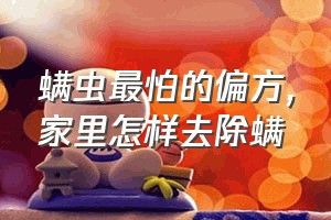 螨虫最怕的偏方（家里怎样去除螨）