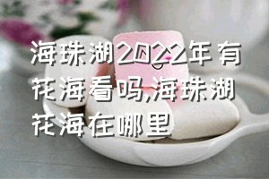 海珠湖2022年有花海看吗（海珠湖花海在哪里）