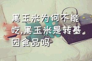 黑玉米为何不能吃（黑玉米是转基因食品吗）